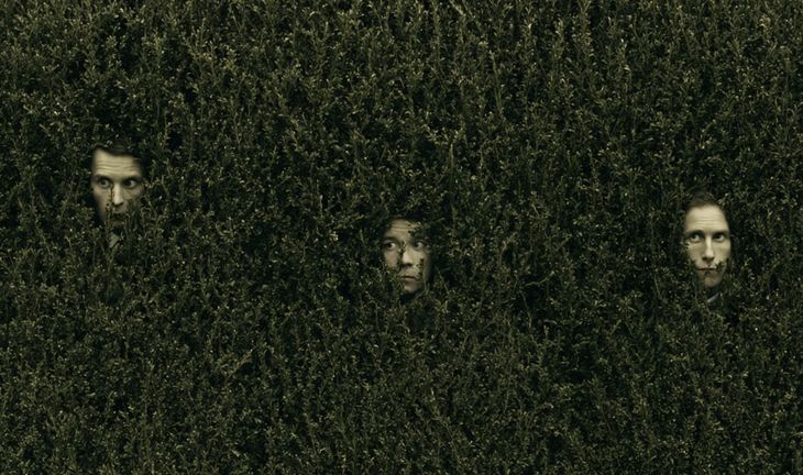 hedge fund faces in a bush 