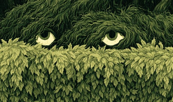 some eyes looking out of a hedge 