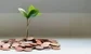 Asia’s darling young multistrategy fund is growing expeditiously