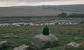 a man on a rock in the wilderness in the UK 